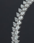 DBL-5 (2)
