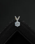 Pendant ( DL - 51 )